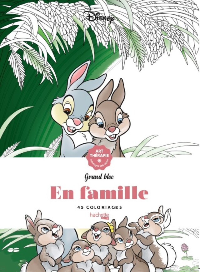 Disney En famille -  COLLECTIF - Hachette Heroes
