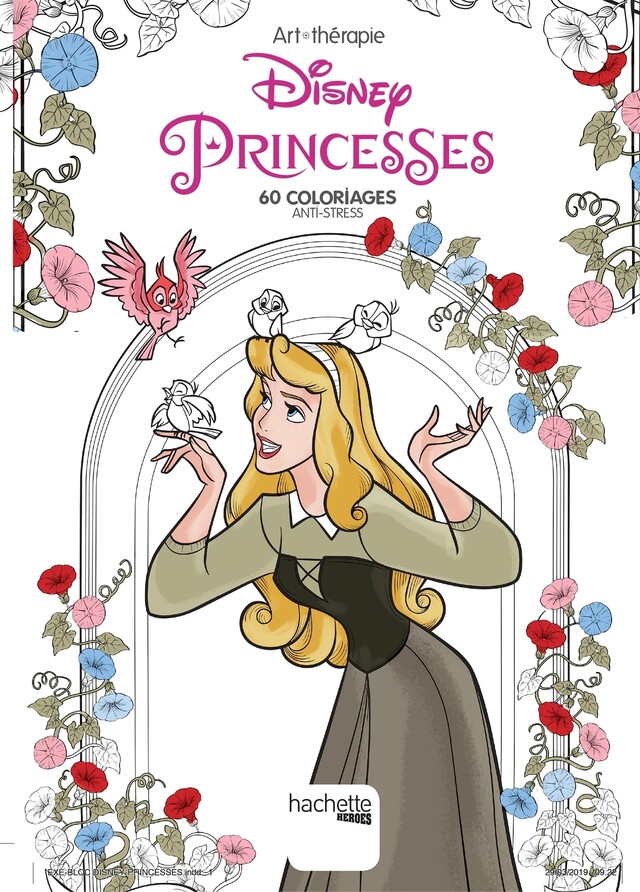 Disney Princesses -  COLLECTIF - Hachette Heroes