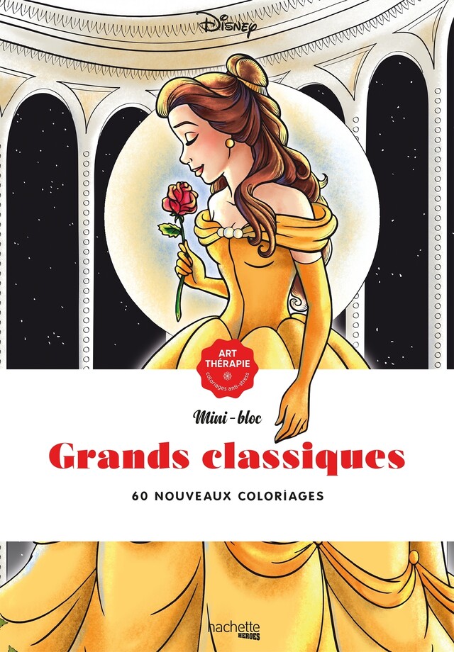 Les mini-blocs Disney Grands classiques -  - Hachette Heroes