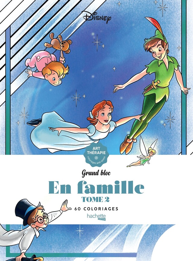 Grands blocs Disney En famille - Tome 2 -  - Hachette Heroes