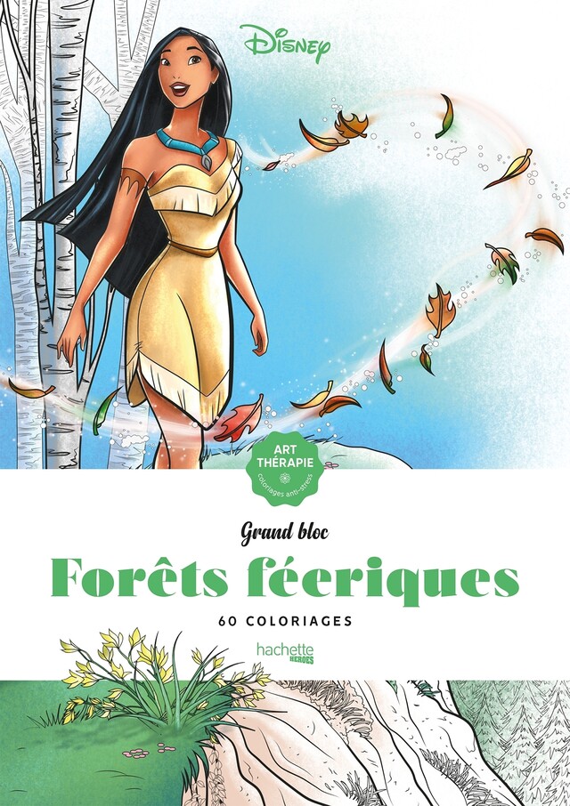 Les grands blocs Disney Forêts féeriques -  - Hachette Heroes