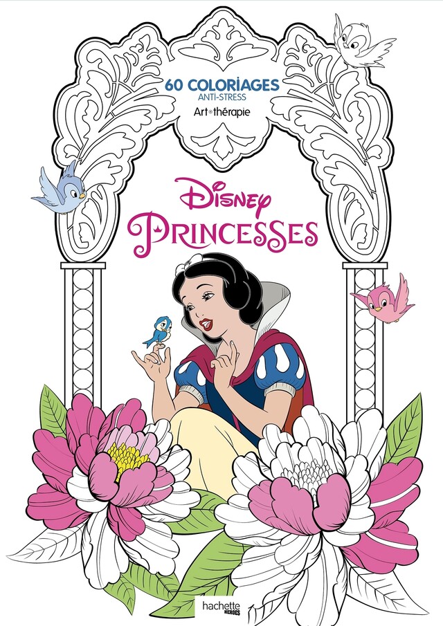 Princesses Disney -  - Hachette Heroes