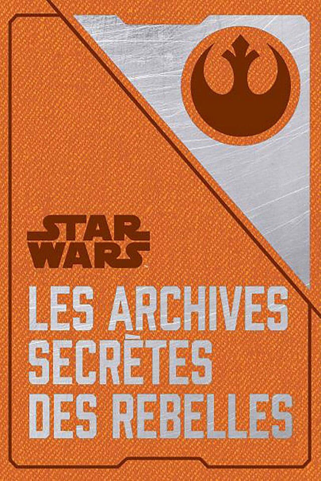 Les archives secrètes des Rebelles - Daniel Wallace - Hachette Heroes