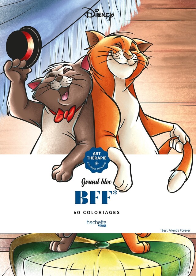 Grand bloc Disney BFF -  - Hachette Heroes
