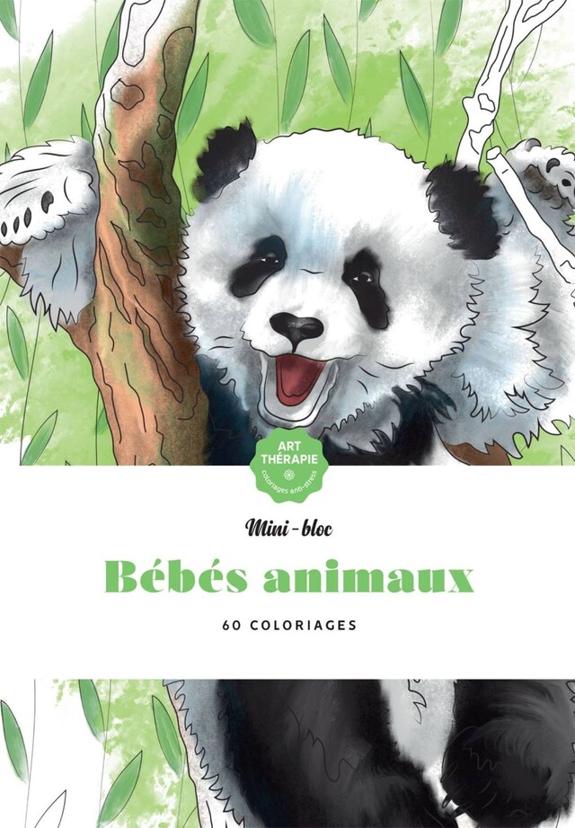 Bébés animaux -  - Hachette Heroes