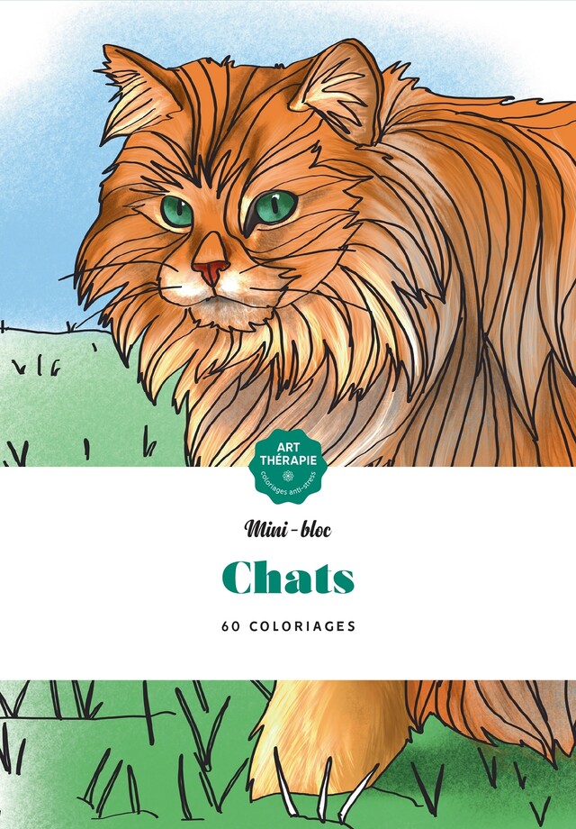 Chats -  - Hachette Heroes