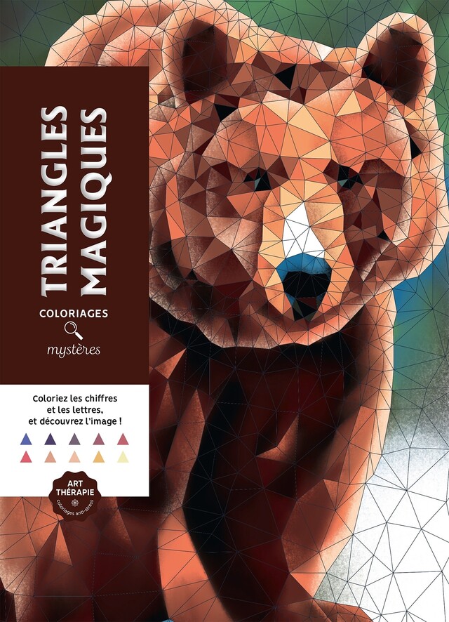 Triangles magiques -  - Hachette Heroes