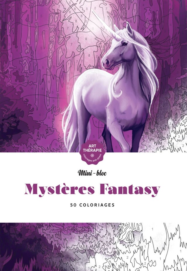 Mystères Fantasy NED -  - Hachette Heroes