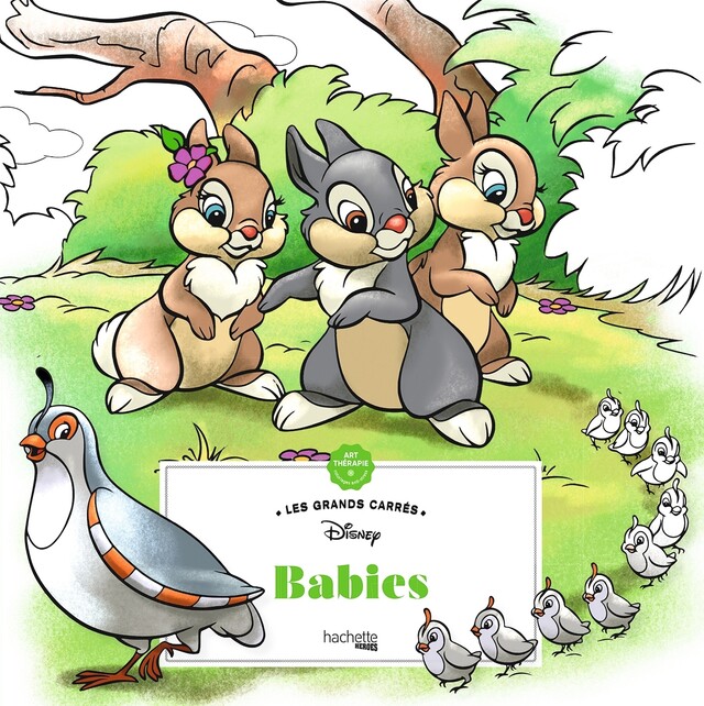Babies -  - Hachette Heroes