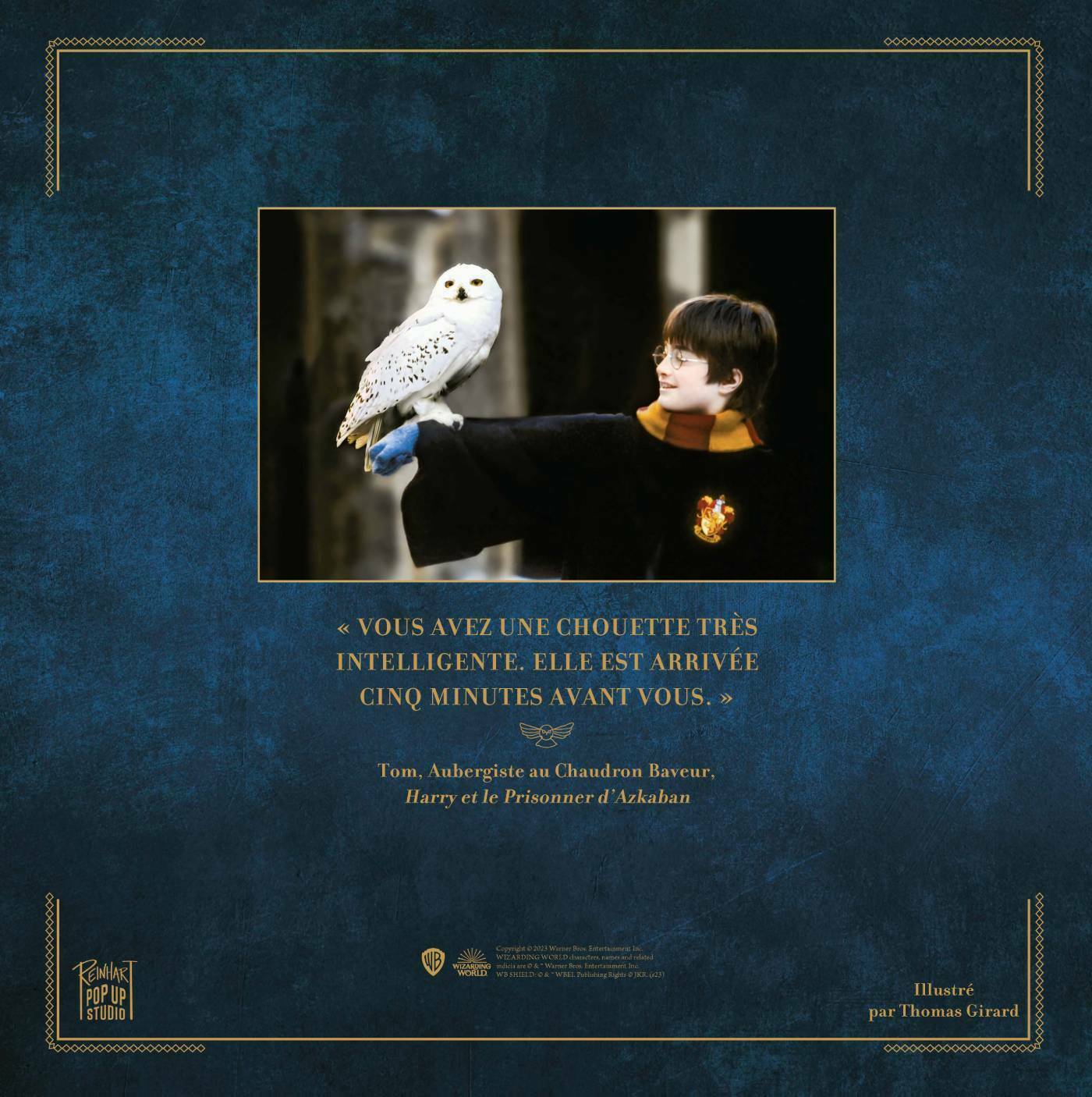 Coloriage Harry Potter Chouette Hedwige - Coloriage Gratuit à