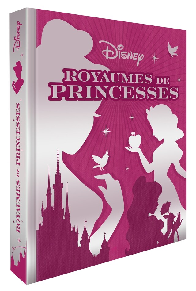 DISNEY PRINCESSES - Les Chefs-d'oeuvre - Royaumes de Princesses -  COLLECTIF - Hachette Jeunesse Collection Disney