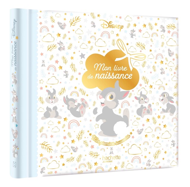 DISNEY - Mon livre de naissance, mes premiers souvenirs (Panpan) -  COLLECTIF - Hachette Jeunesse Collection Disney