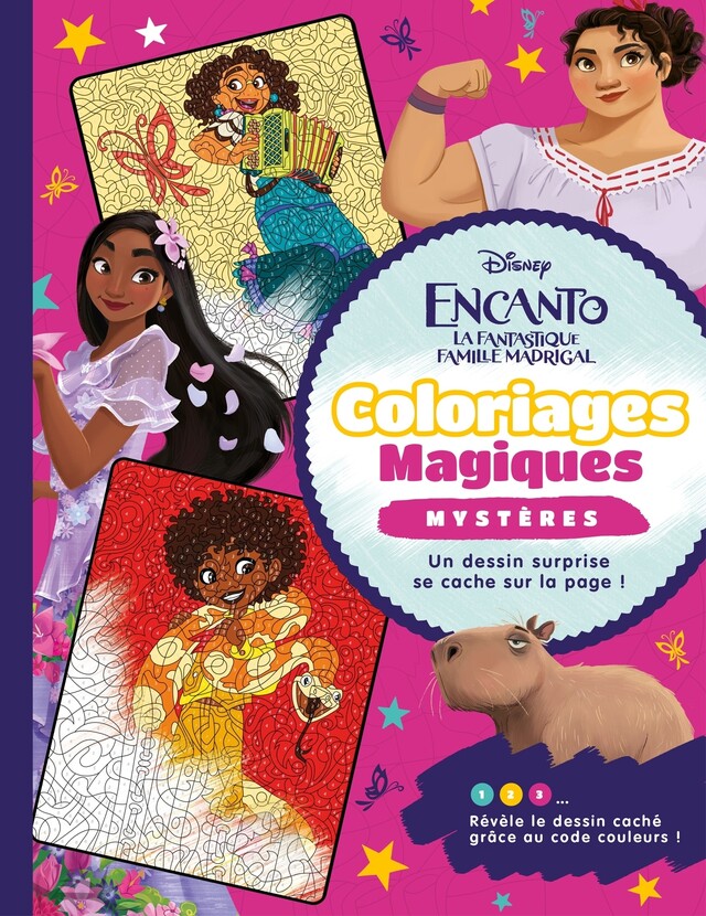 ENCANTO, LA FANTASTIQUE FAMILLE MADRIGAL - Coloriages Magiques - Disney -  COLLECTIF - Hachette Jeunesse Collection Disney