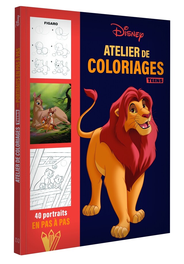 DISNEY TEENS - Atelier de coloriages - Portraits en pas à pas -  - Hachette Jeunesse Collection Disney