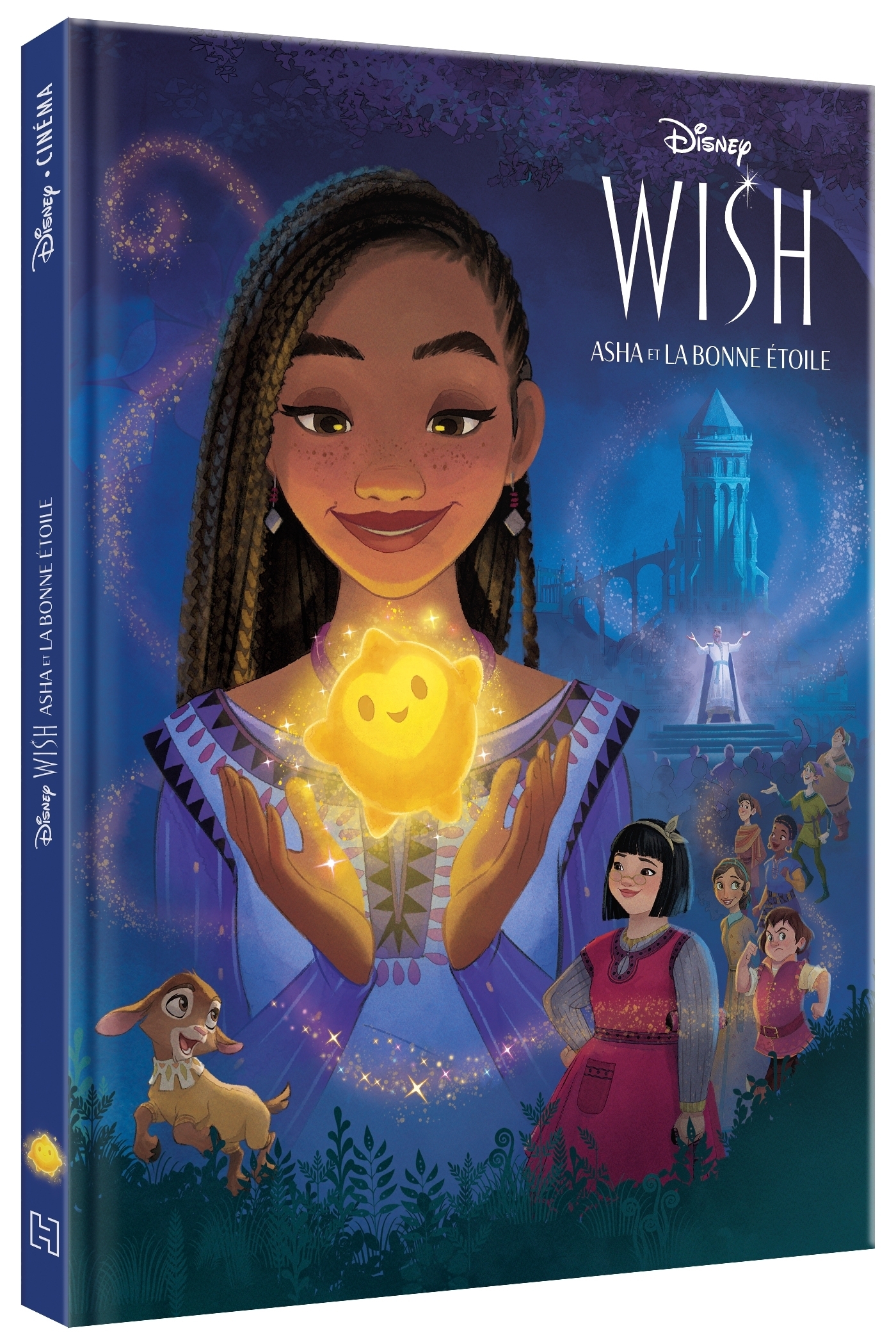 WISH, ASHA ET LA BONNE ÉTOILE - Disney Cinéma - L'histoire du film - -  (EAN13 : 9782017208471) | Hachette Heroes