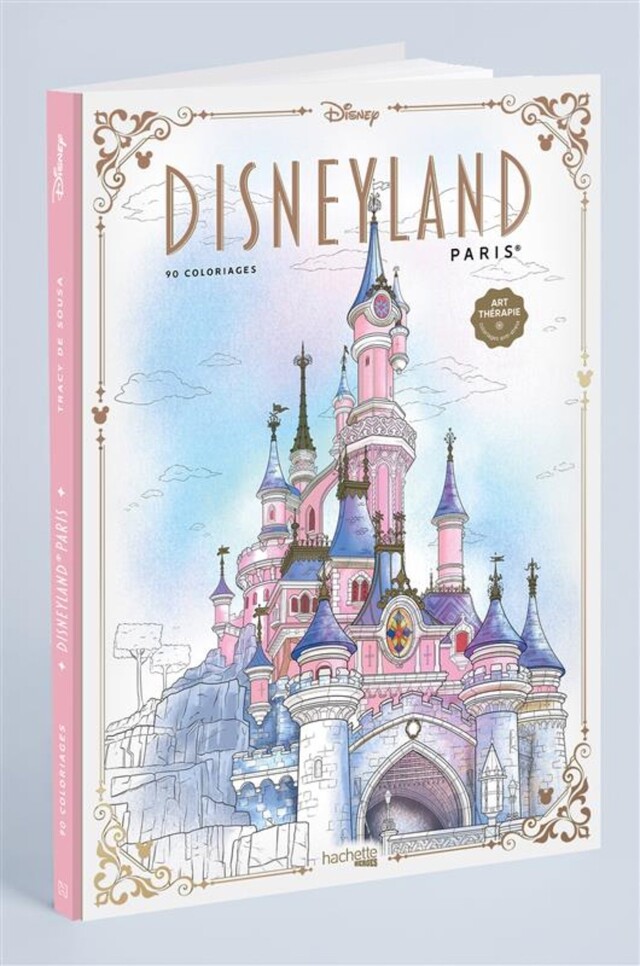 Disneyland Paris -  - Hachette Heroes